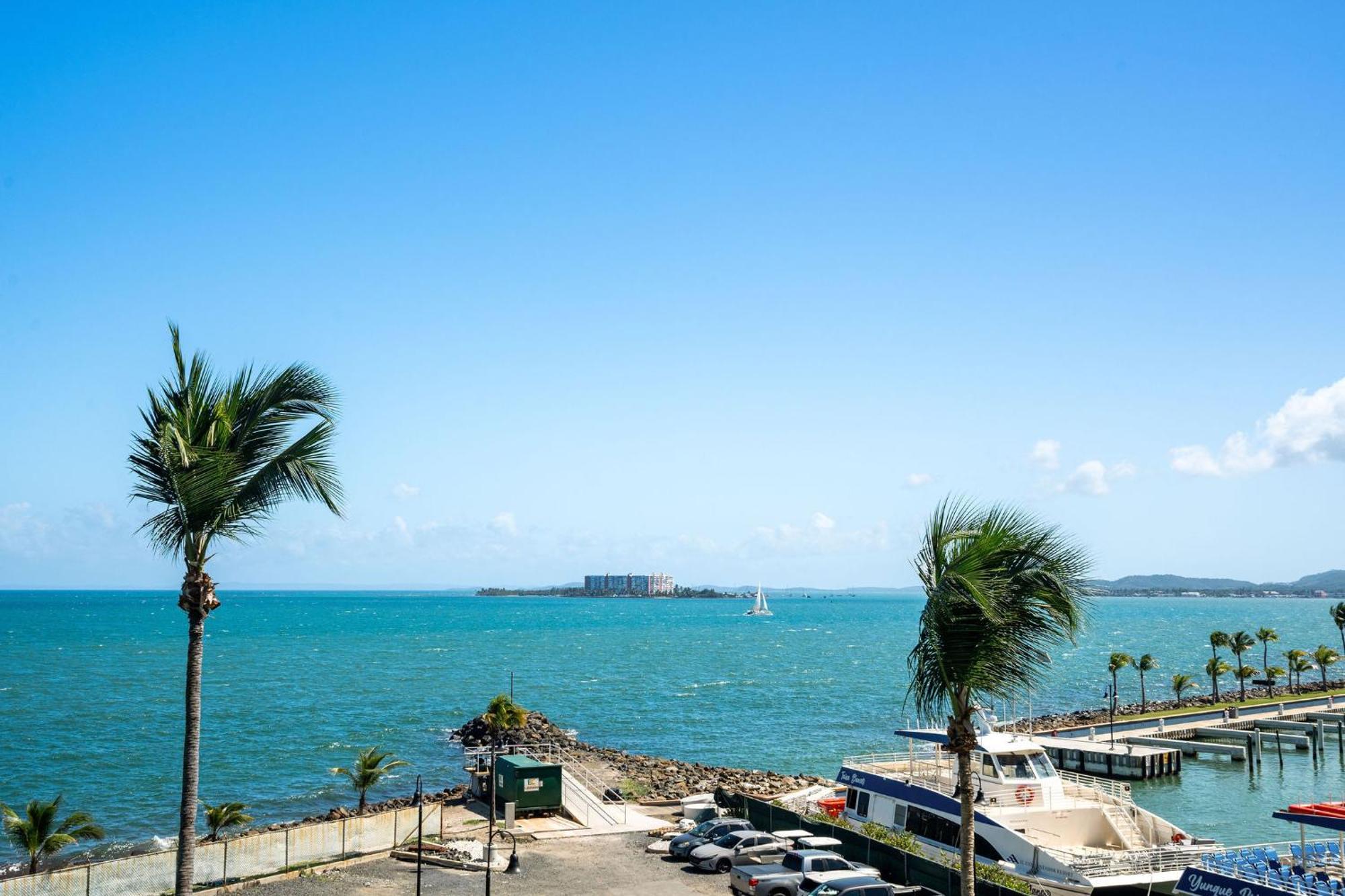 Your Ocean Zen Oasis Apartment Fajardo Bagian luar foto
