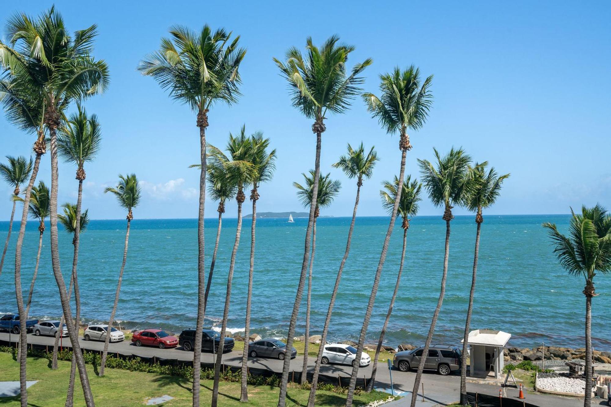 Your Ocean Zen Oasis Apartment Fajardo Bagian luar foto